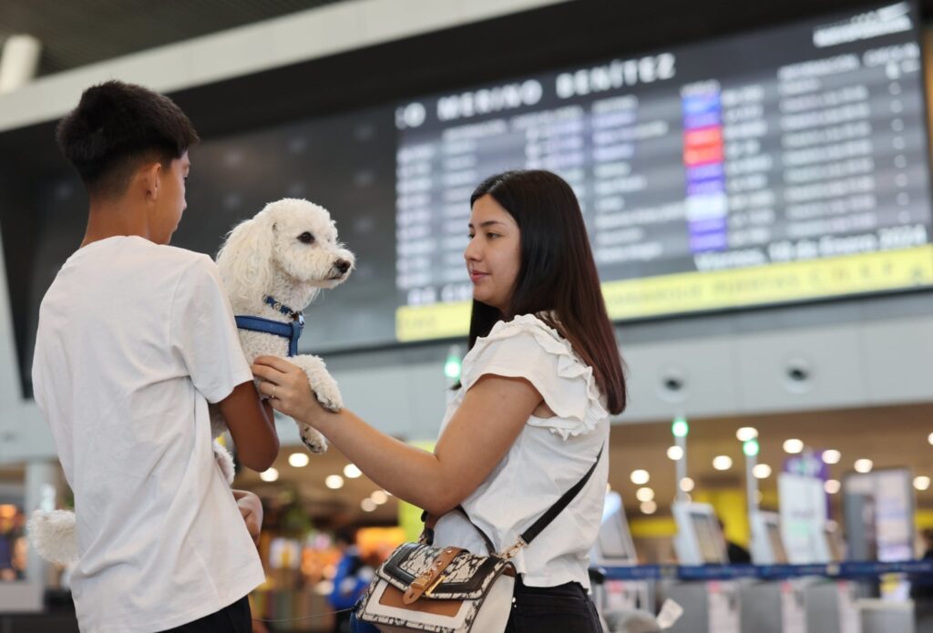 Viajes Mascotas