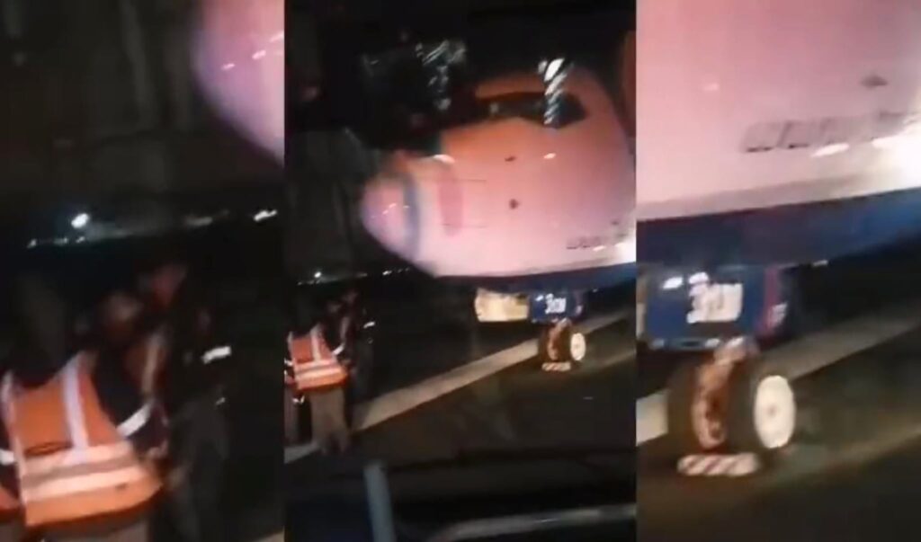 BoA incidente perros