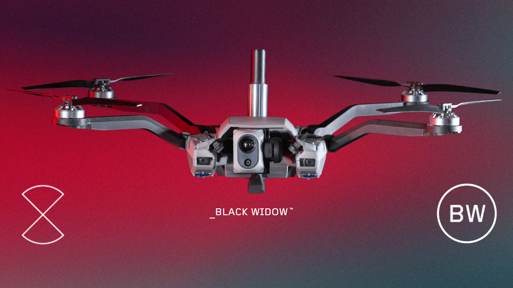 Black Widow
